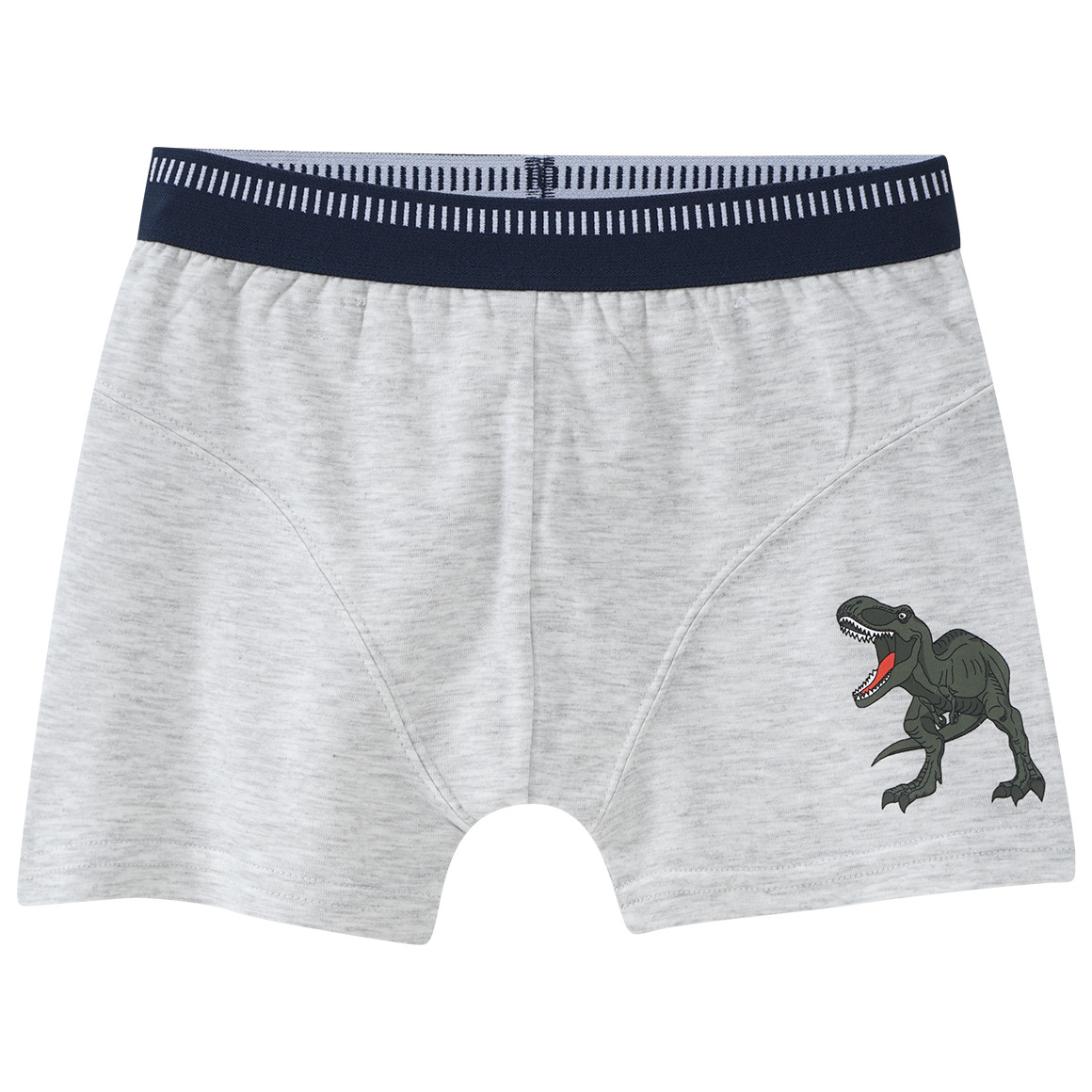 3 Jungen Boxer mit Dino-Motiven