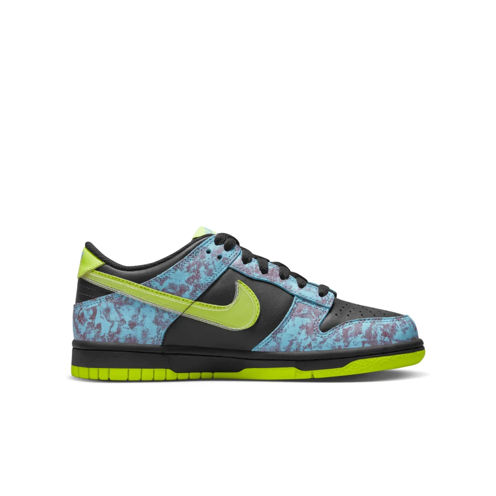 Nike Dunk Low SE DV1694-900 / bunt