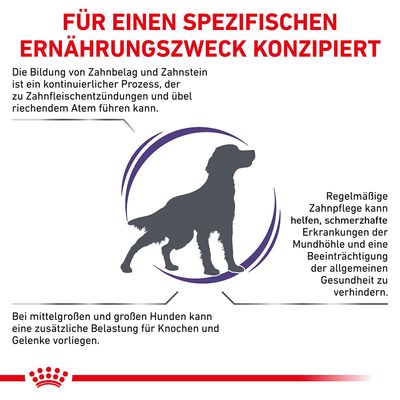 Royal Canin Expert Canine Dental Medium & Large Dog