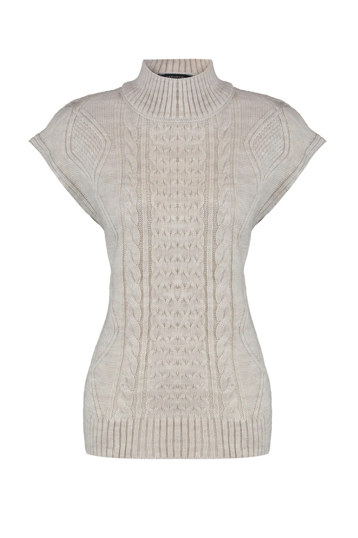 Trendyol Collection  Rollkragenpullover mit Steinstrickdetails TWOAW23SV00100