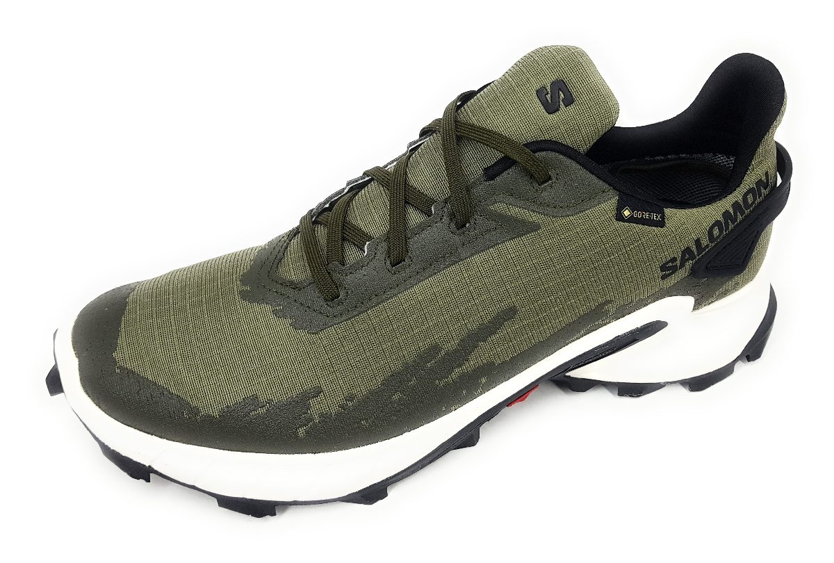 Salomon Alpha Cross 4GTX L417230 Grün Green