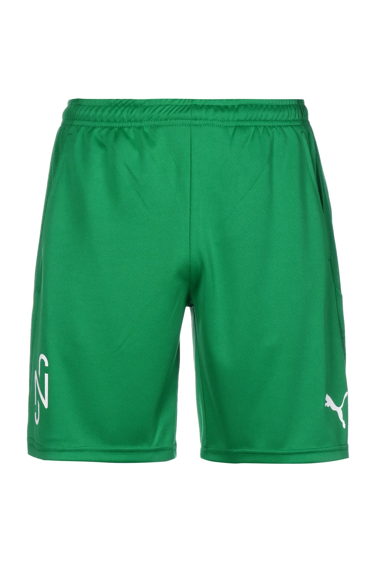 Puma  Shorts - Grün - Mittlerer Bund