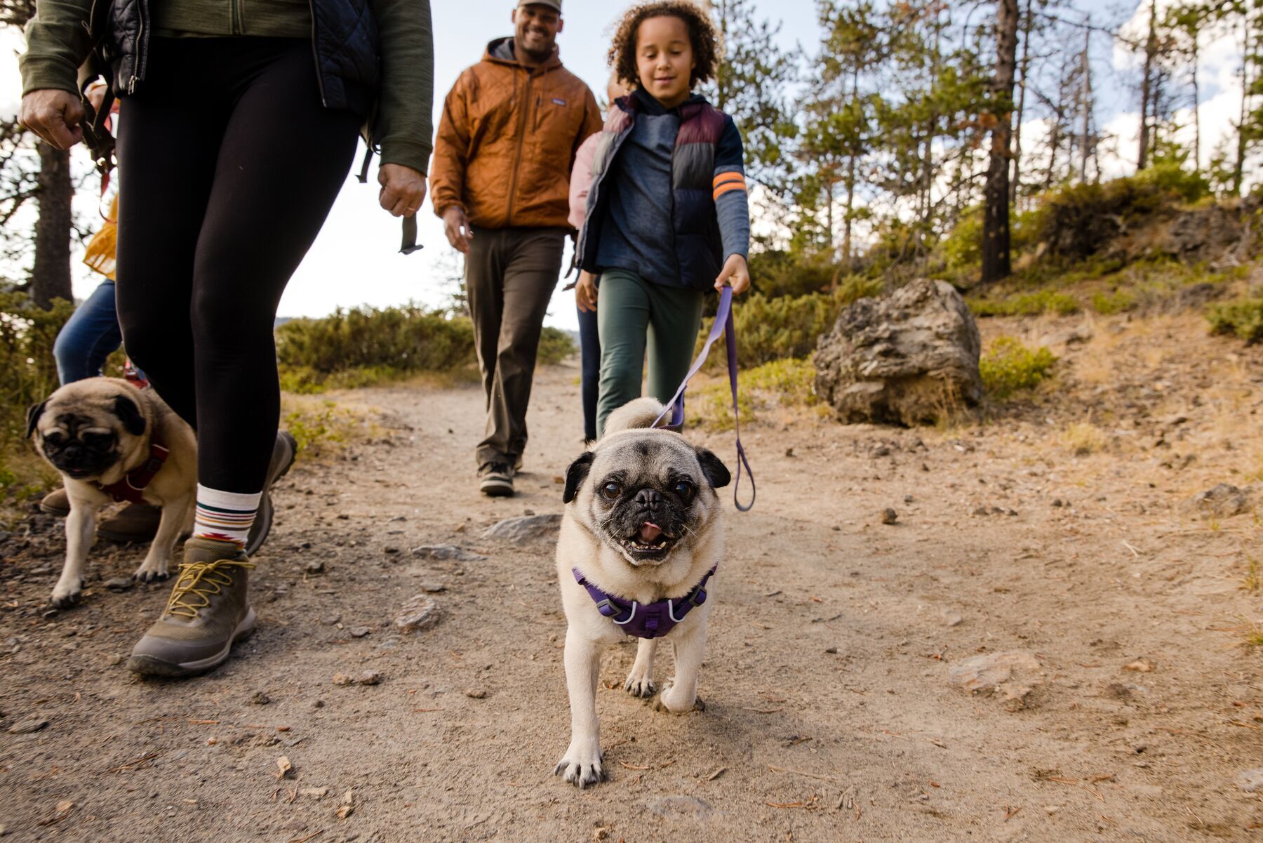 Ruffwear Hundeleinen Ruffwear Front Range™ Leine violett