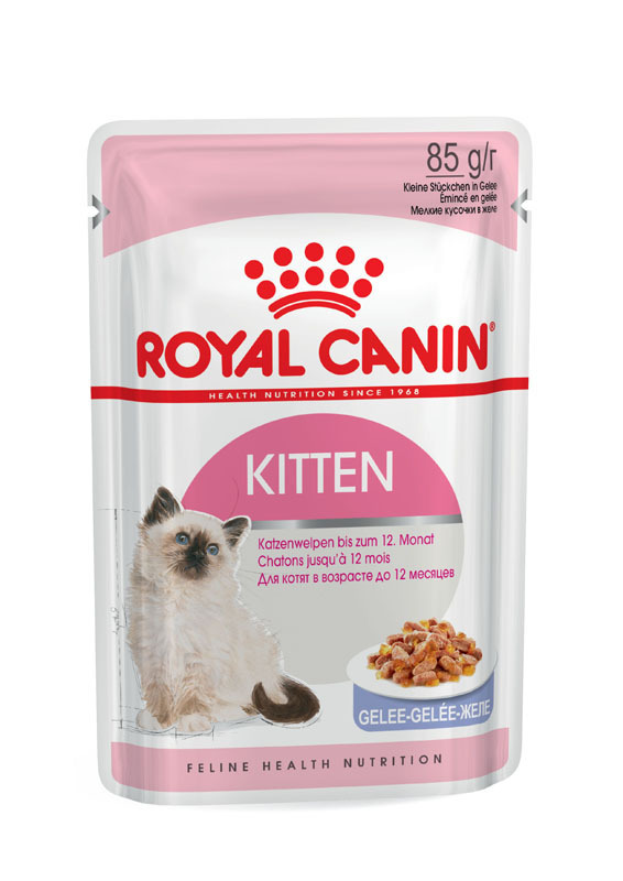 ROYAL CANIN Nassfutter ROYAL CANIN Kitten 12x85g in Gelee
