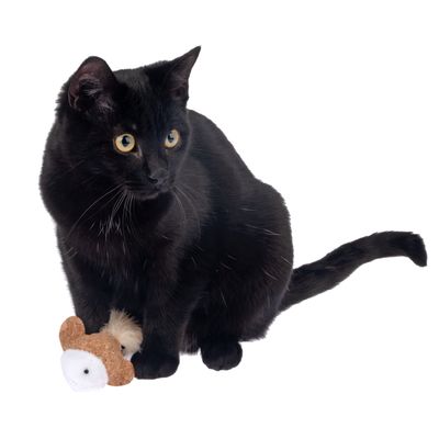 TIAKI Katzenspielzeug Kork-Fisch mit Katzenminze