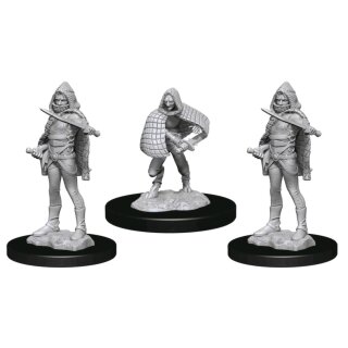 D&D Nolzur's Marvelous Miniatures - Darkling Elder & Darklings