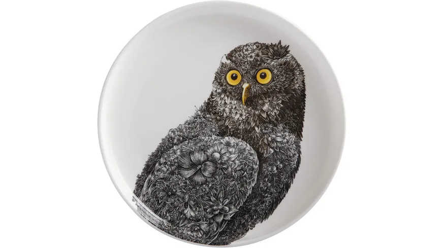 MAXWELL & WILLIAMS Teller Marini Ferlazzo Owl Mehrfarbig