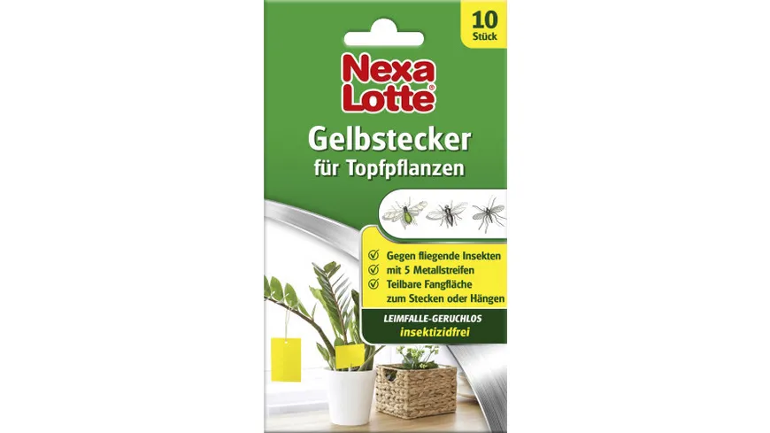 Nexa Lotte Gelbstecker