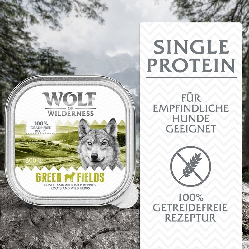 Sparpaket Wolf of Wilderness Adult 24 x 300 g
