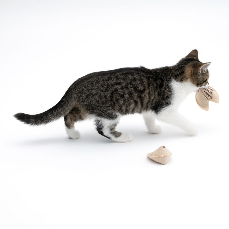 TIAKI Glückskekse mit Katzenminze zu TOP-Preisen