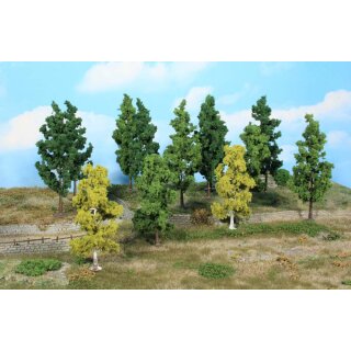 Miniwald-Set, Laubbäume 11-14 cm (27)