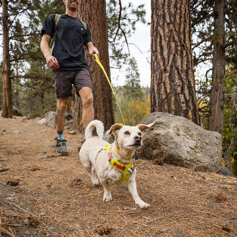 RUFFWEAR Hi & Light Leash zu TOP-Preisen