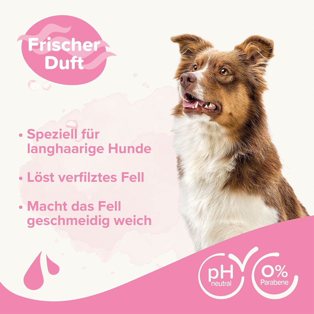 beaphar Entfilzungs-Shampoo 250ml günstig kaufen bei ZooRoyal