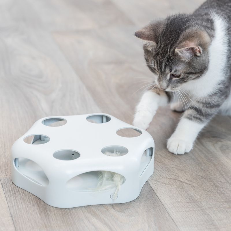 Trixie Katzenspielzeug Turning Feather zu TOP-Preisen | bitiba %