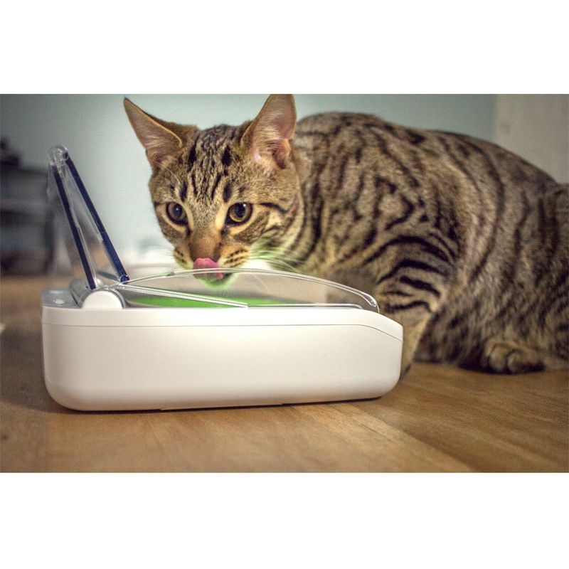 SureFeed Luftdichte Futterschale zu TOP-Preisen