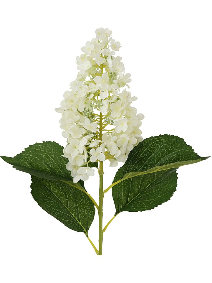 Boltze Kunstblume 