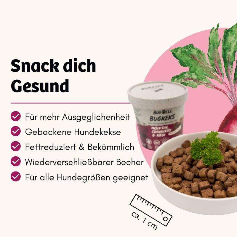 BugBell BugKeks Adult Insekten, Cranberry und Käse