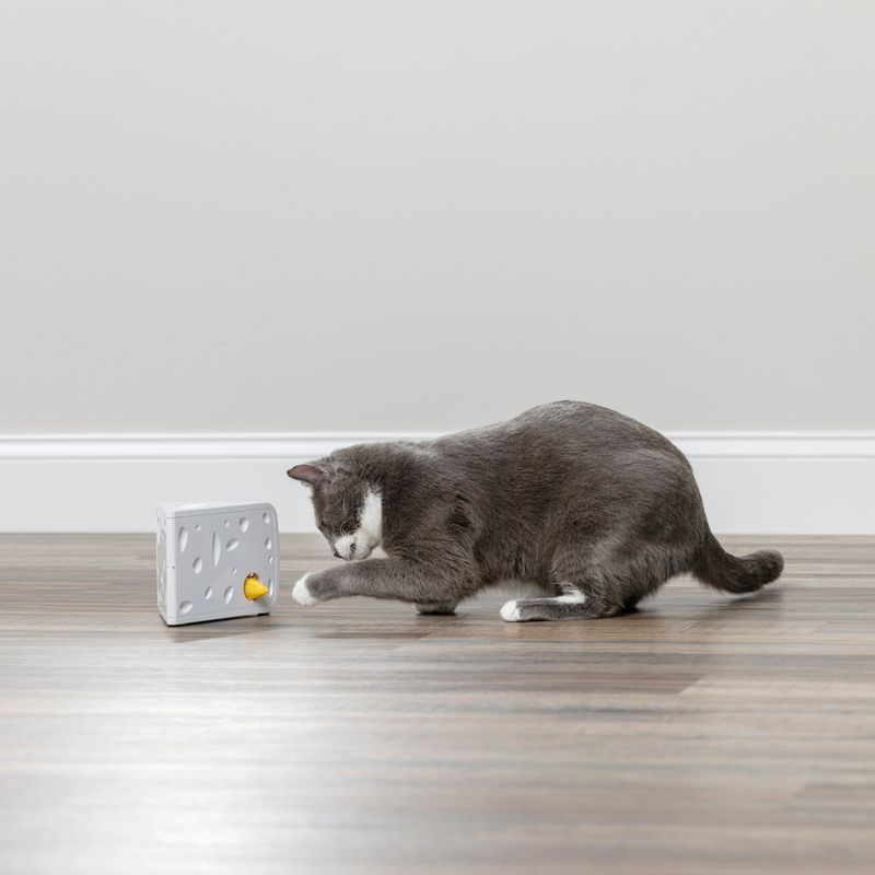 PetSafe Automatisches Katzenspielzeug Cheese