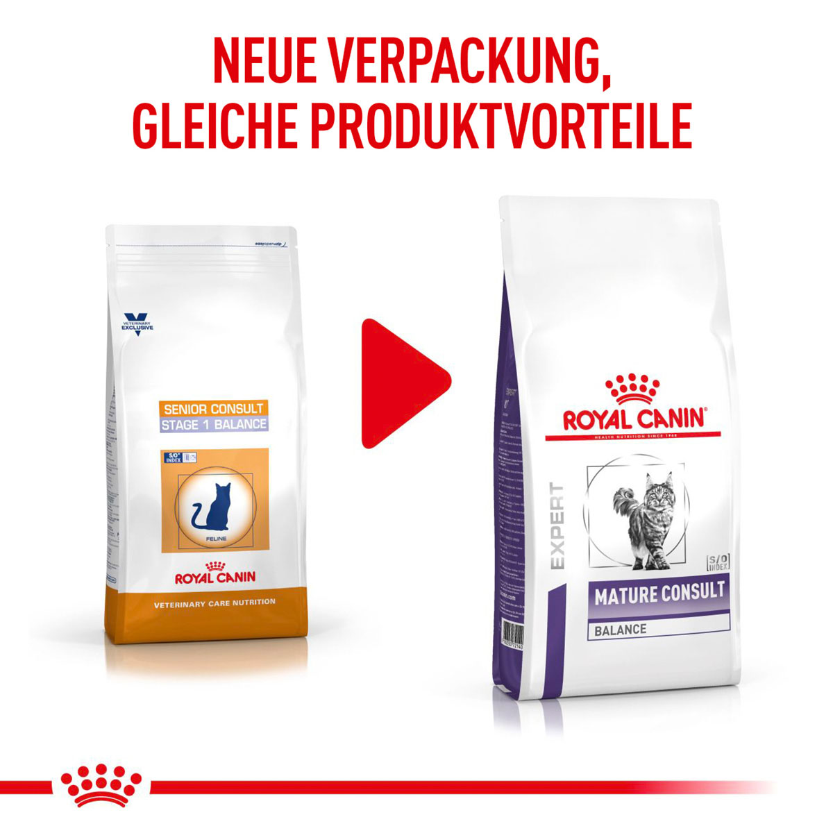 ROYAL CANIN Expert MATURE CONSULT BALANCE Trockenfutter für Katzen