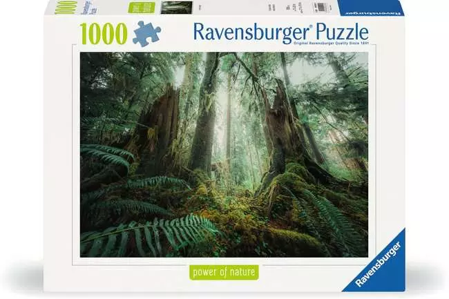 Puzzle 1000 Teile - Faszinierender Wald