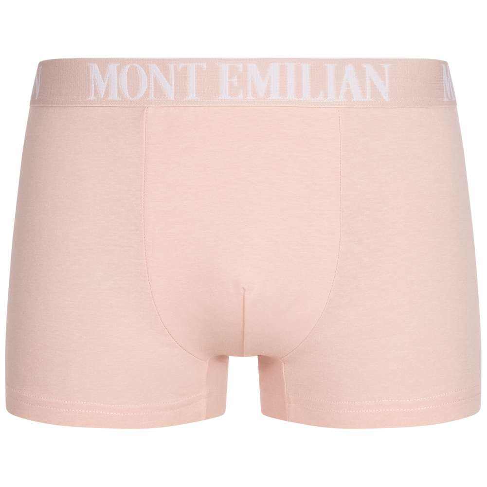 MONT EMILIAN 