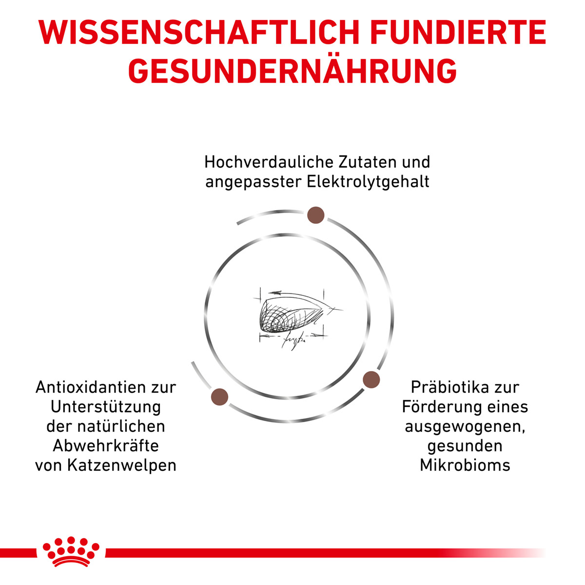 ROYAL CANIN Veterinary GASTROINTESTINAL KITTEN Trockenfutter für Katzenwelpen 2kg