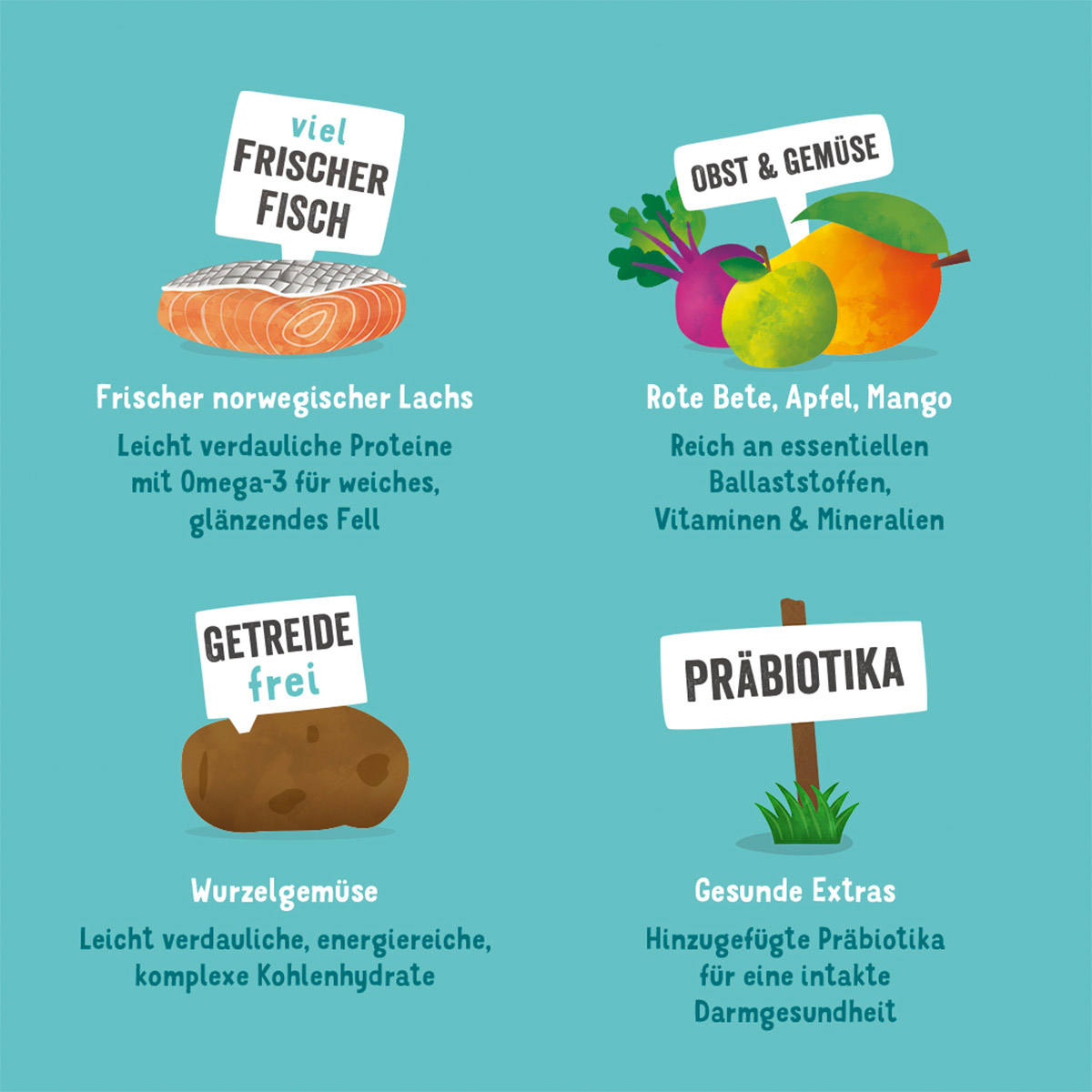 Edgard & Cooper Frischer norwegischer Lachs kaufen bei ZooRoyal