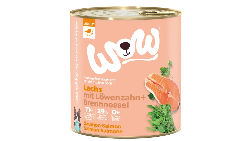 WOW Hundenassfutter Adult Lachs 800 g