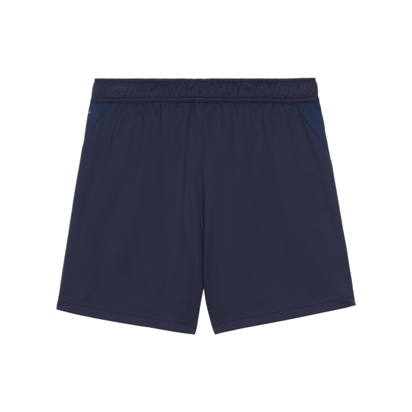 PUMA teamGOAL Training Shorts Damen Blau F06