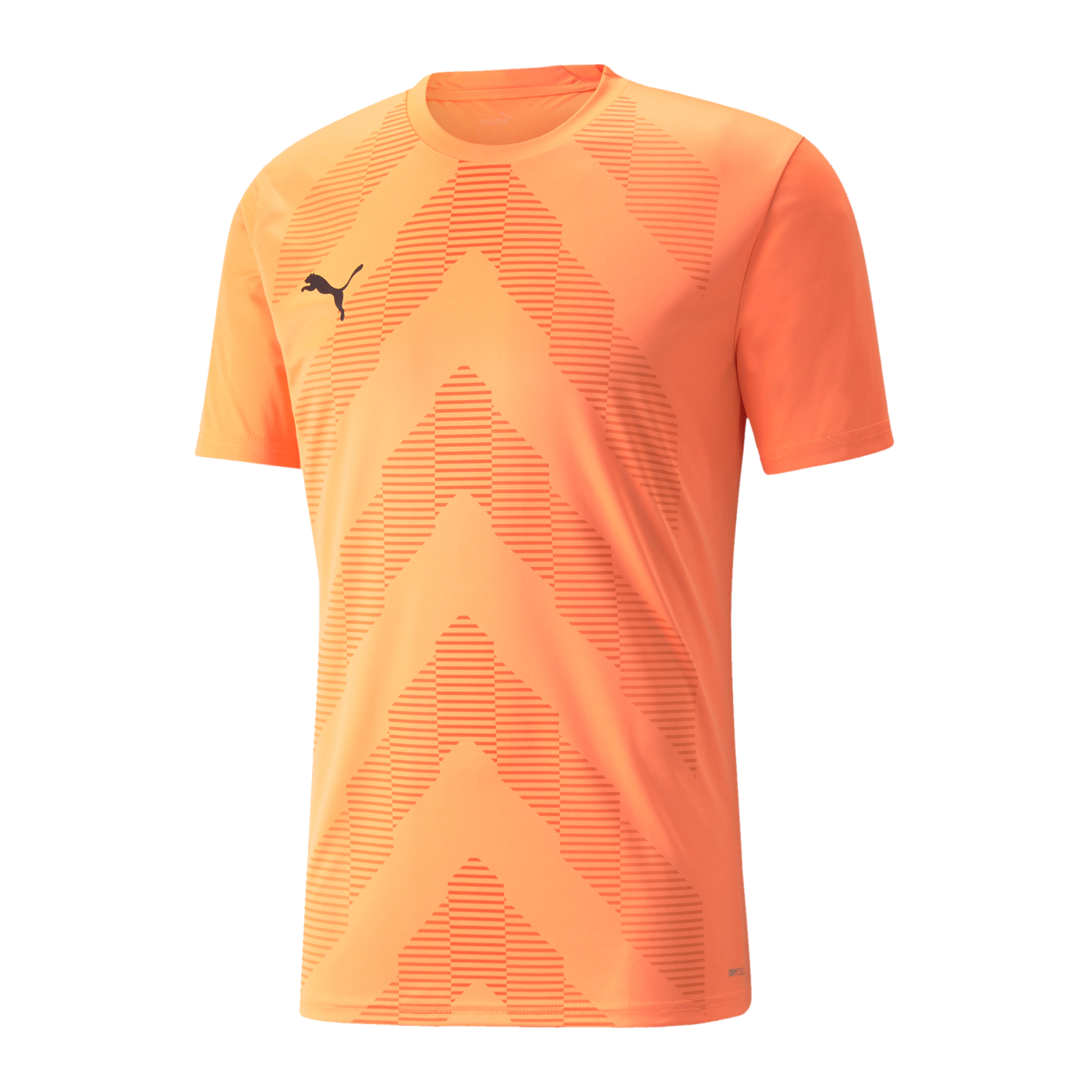 PUMA teamGLORY Trikot Kids Orange F21