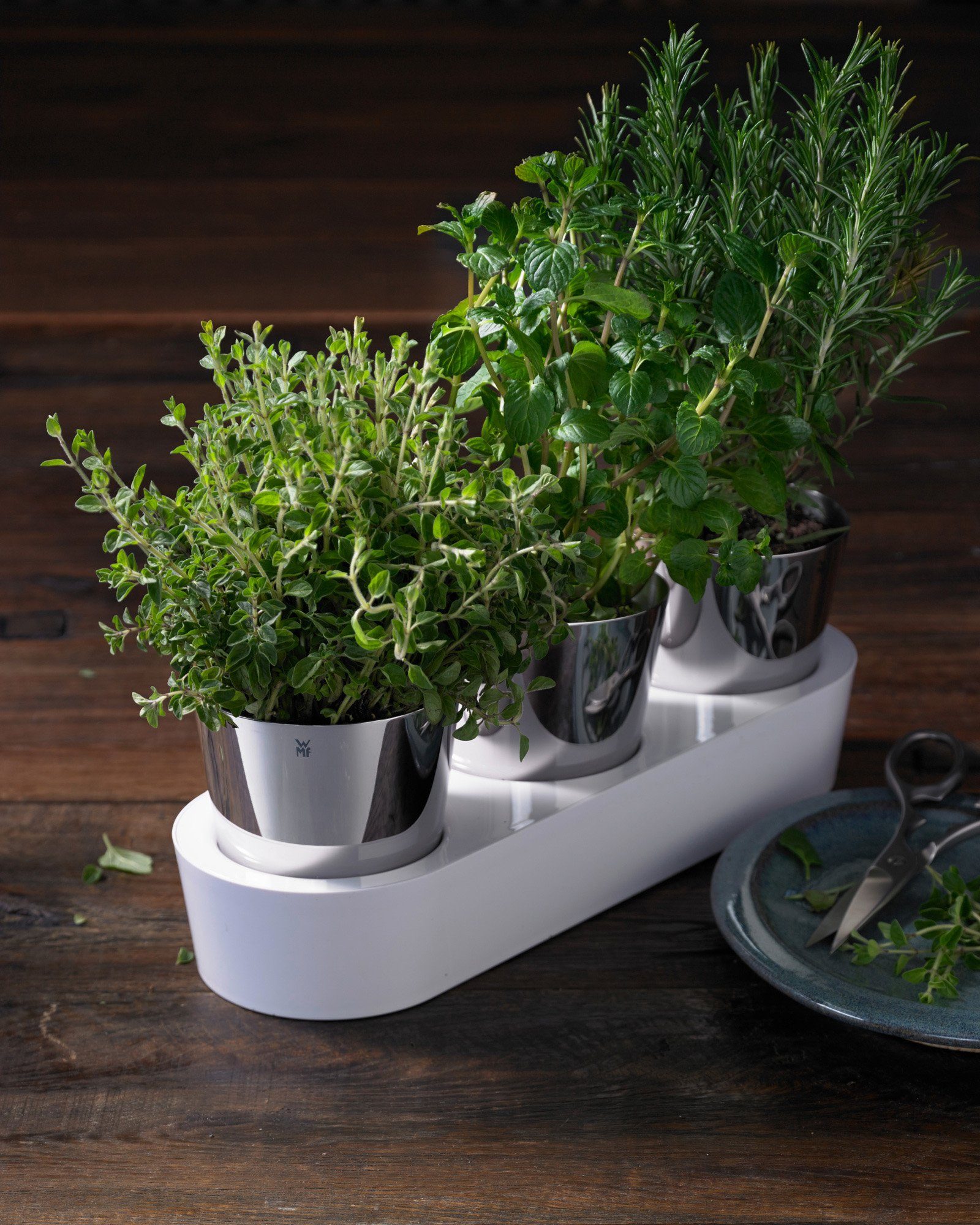 WMF Kräutertopf (Set, 7 St), mit Bewässerungssystem, Indoor