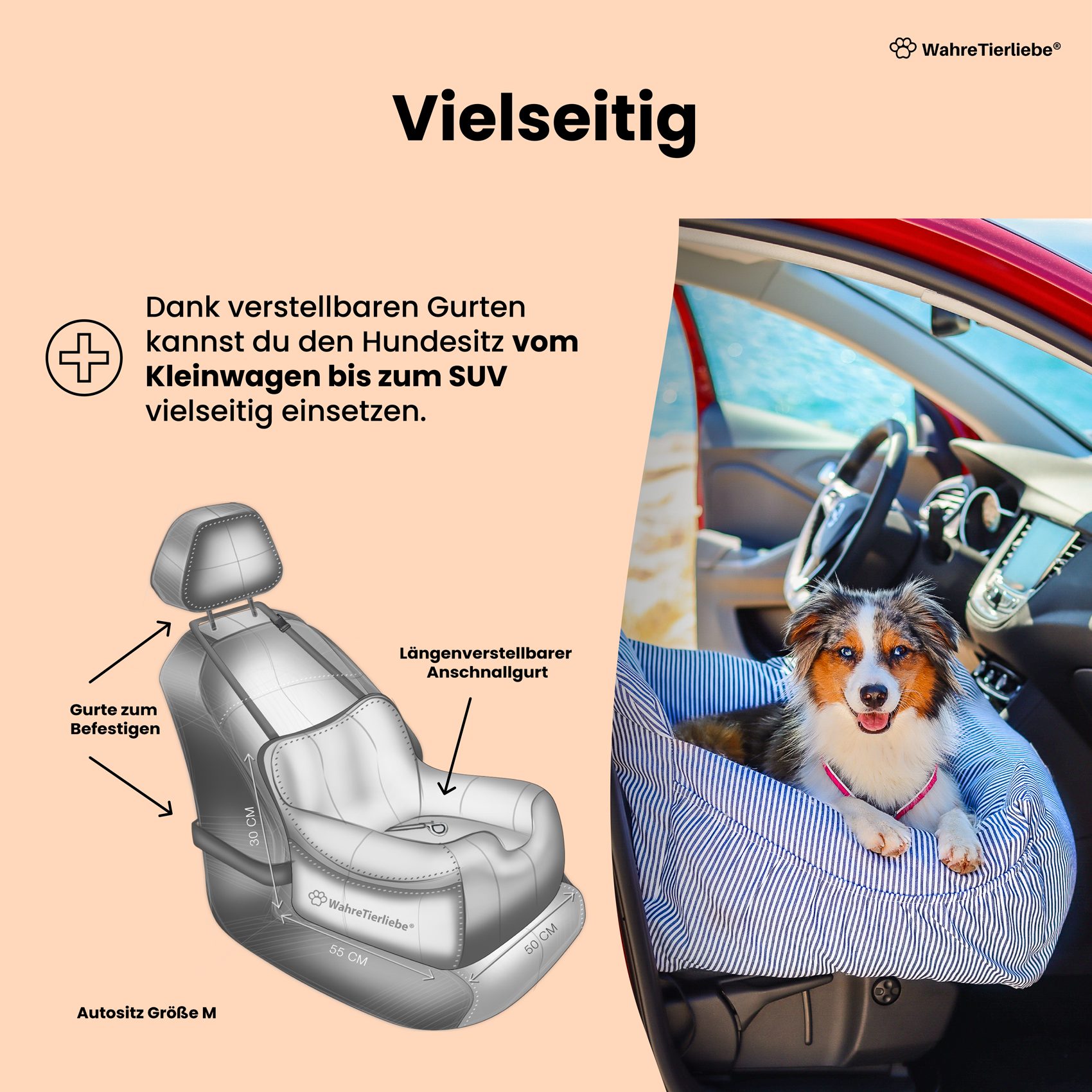 Wahre Tierliebe Hunde-Transportbox Hunde Autositz inkl. Sicherheitsgurt, Verschiedene Größen, Verschiedene Farben