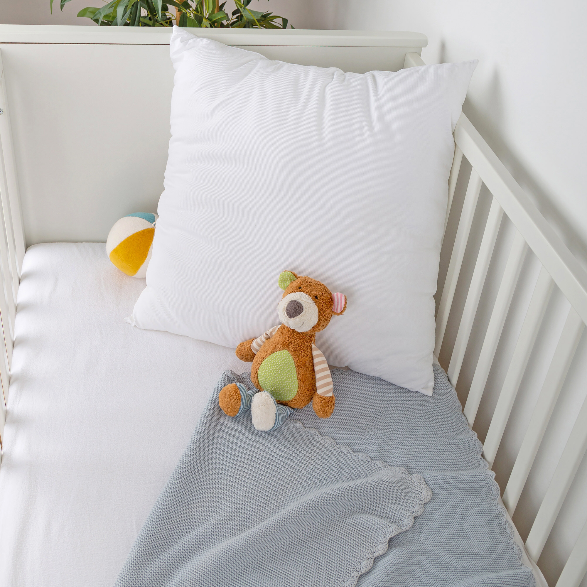Bio Kuschelbär
