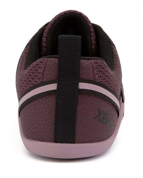 Xero |f ~ Prio ~ Fig/Elderberry