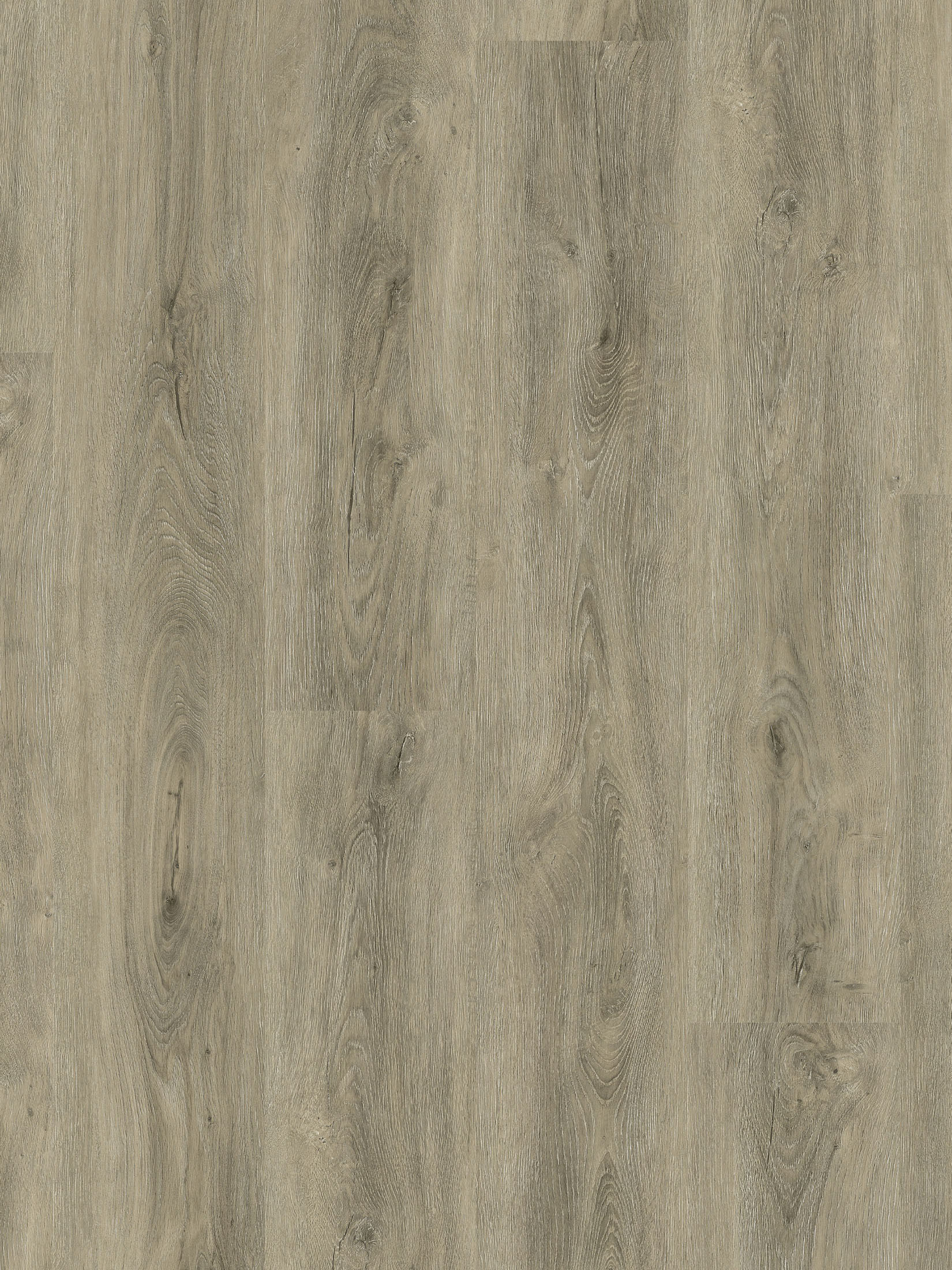 Silent Wood XL Vinylboden, Grey Oak
