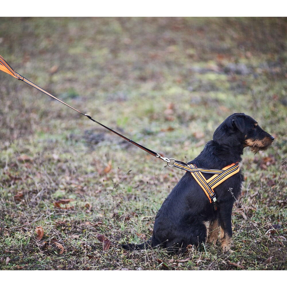 Heim Hundegeschirr Signal