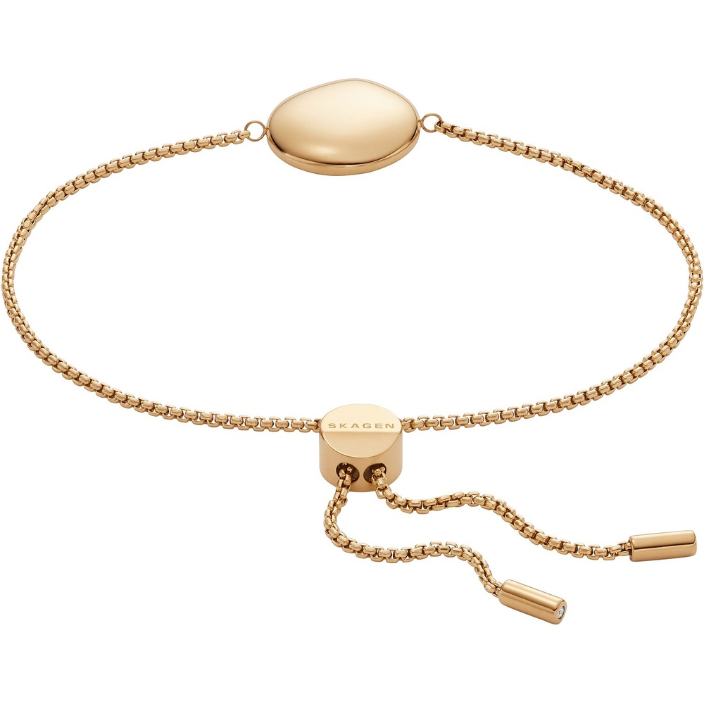 Skagen Bracelet Acier inoxydable Bracelet
