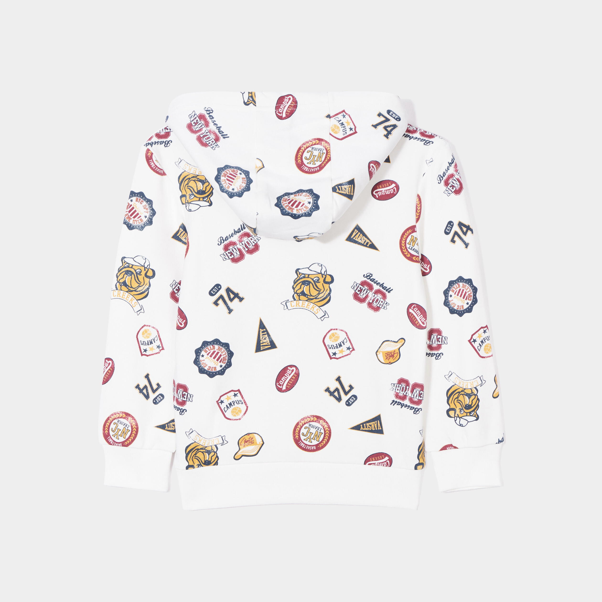 Sweat à capuche hoodie Creeks blanc garçon | La Halle