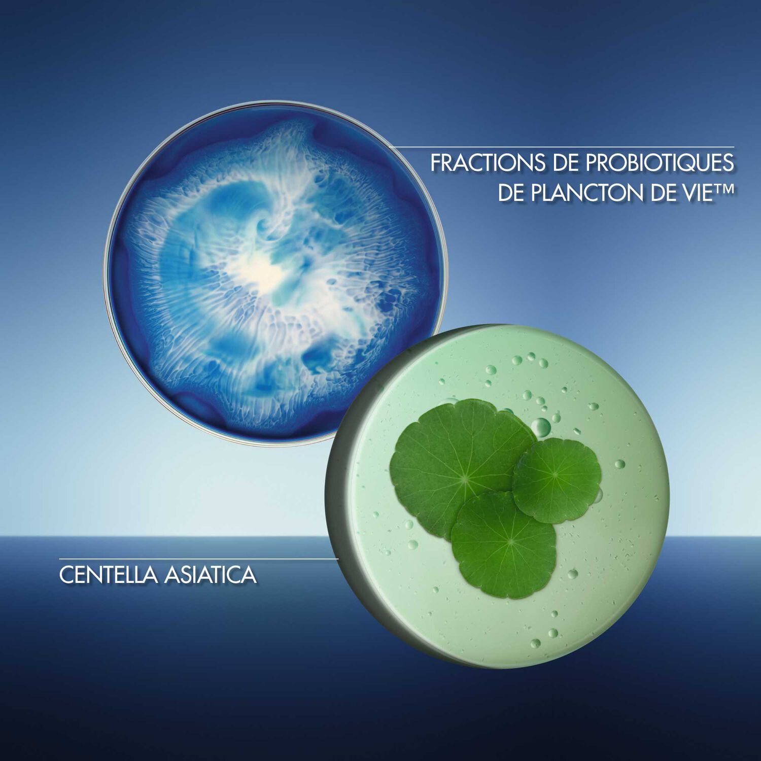 Biotherm Aquasource Crème Hydratante au Centella Asiatica