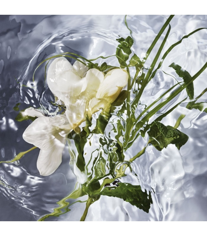 Guerlain-AQUA ALLEGORIA-Herba Fresca Vaporisateur
