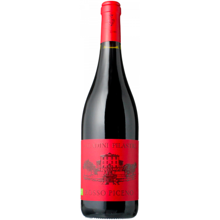 ROSSO PICENO 2022 - SALADINI PILASTRI