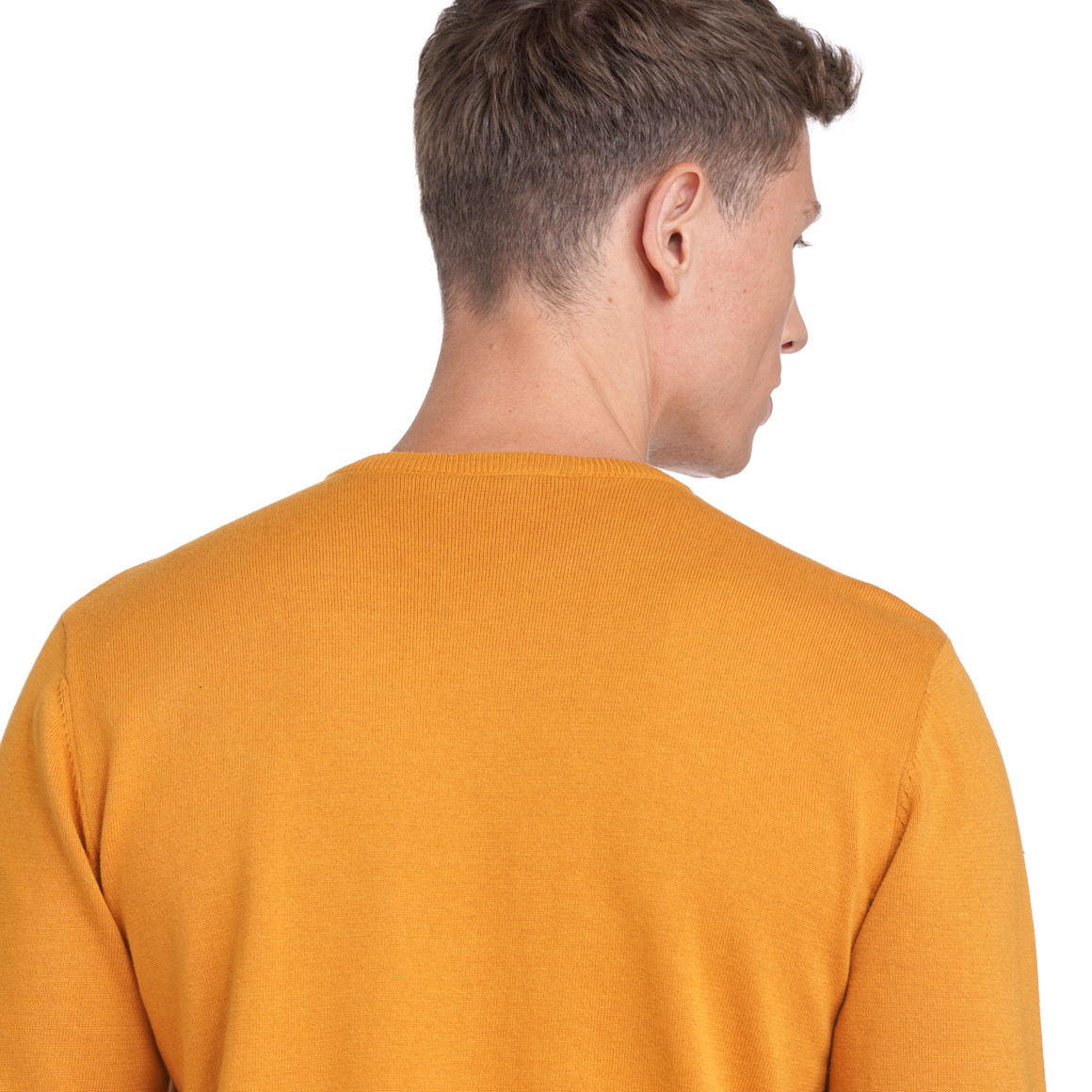 Herren Feinstrickpullover mit Rundhals