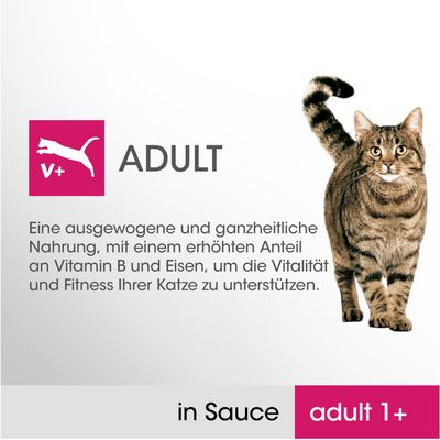Perfect Fit Sterilise Adult 1+