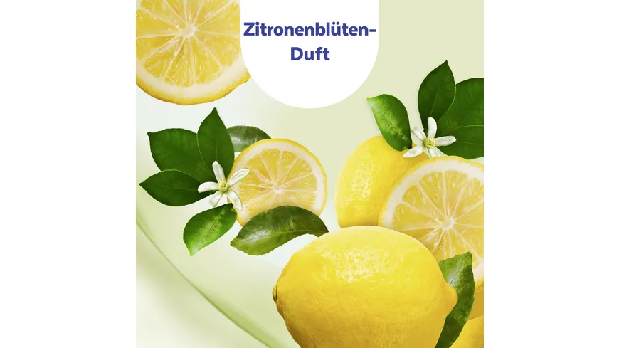 Sagrotan 2in1 Desinfektions-Tücher für Hände und Oberflächen