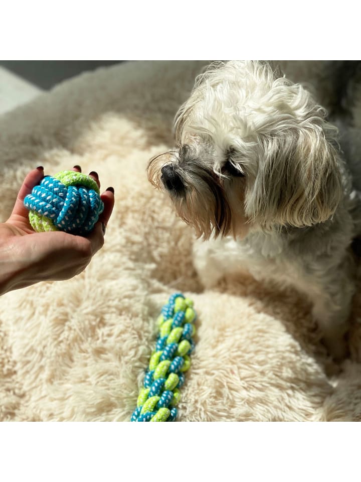 Intirilife 10er Set Hundespielzeug Kauspielzeug in Bunt günstig kaufen onesize