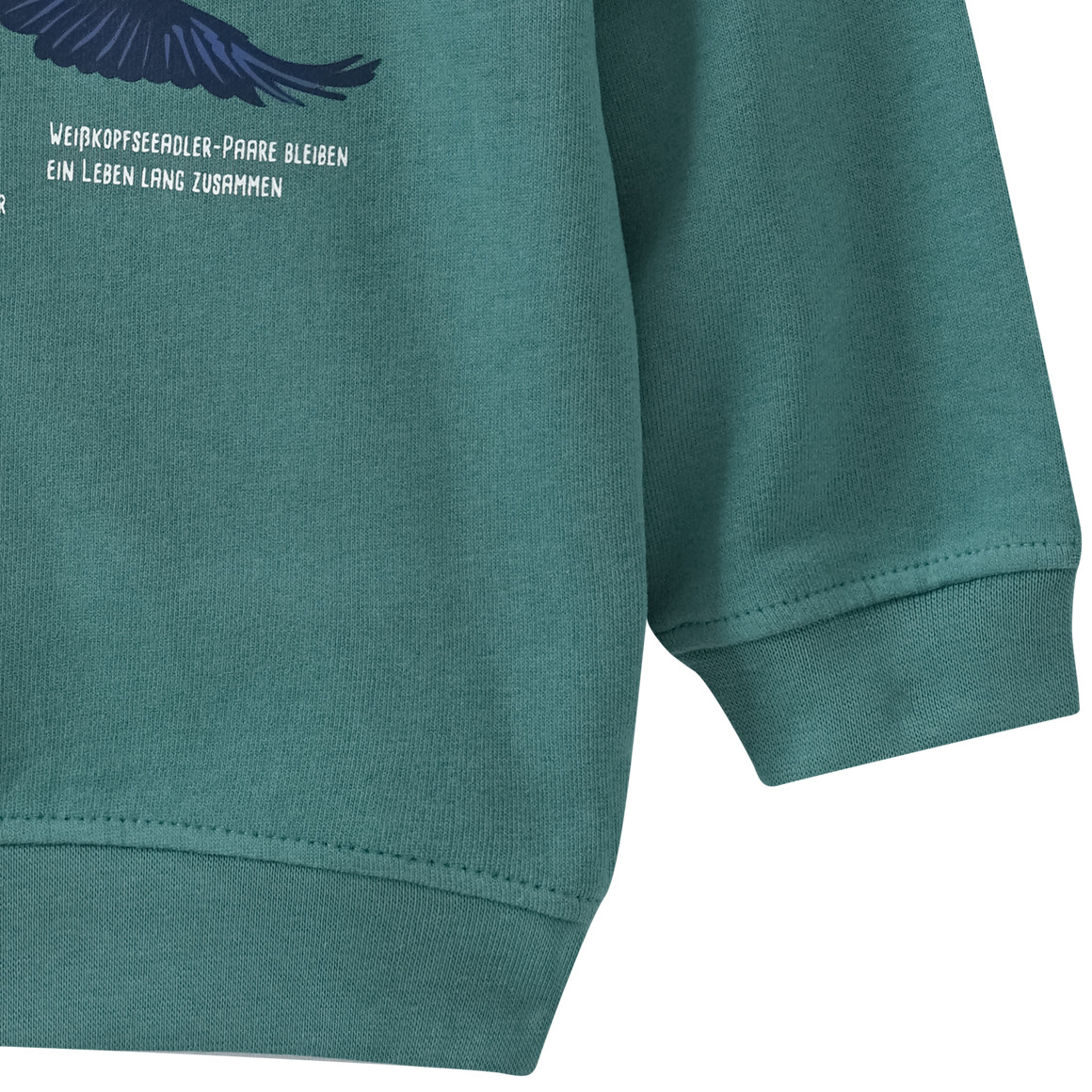 Kinder Sweatshirt mit Weißkopfseeadler-Motiv