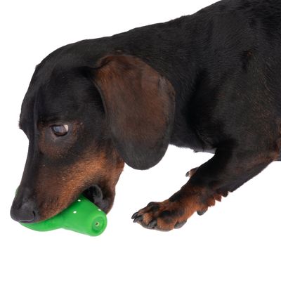 TIAKI Hundespielzeug Latex Kaktus