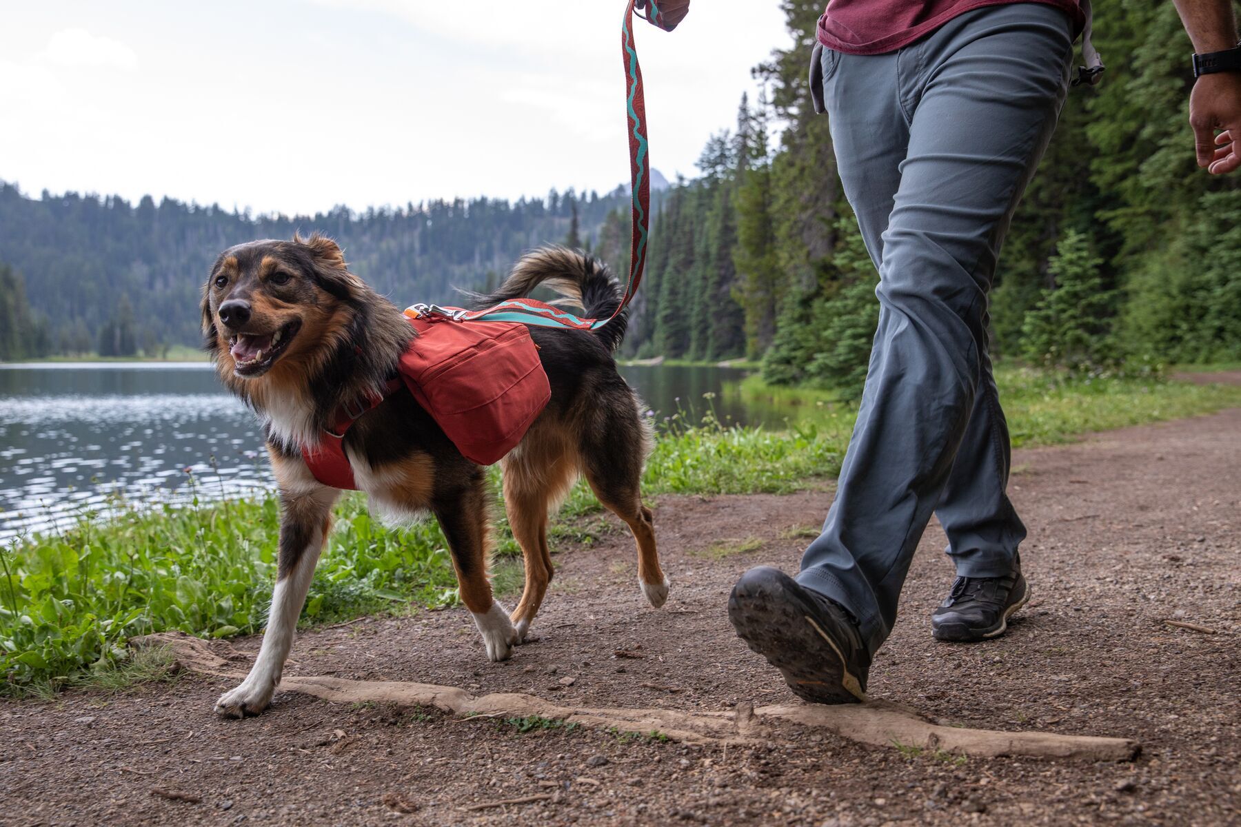 Ruffwear Tragetaschen Ruffwear Front Range™ Hundetagesrucksack rot L-XL