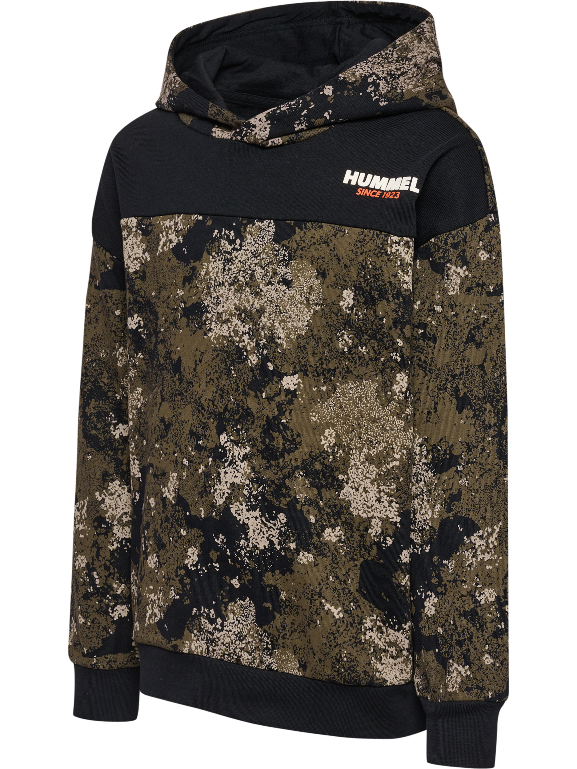 Athletic Sweatshirt 'AGGE'
