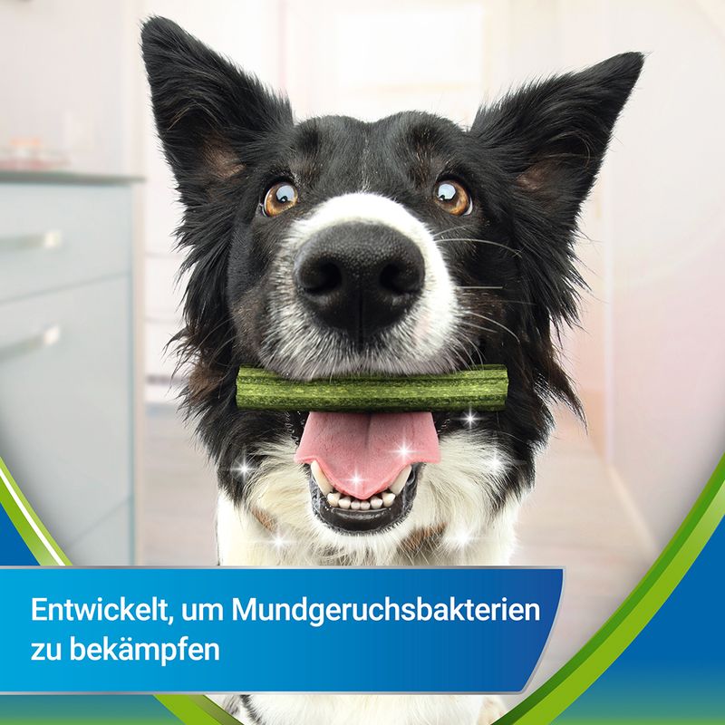 PURINA Dentalife Active Fresh für mittelgroße Hunde